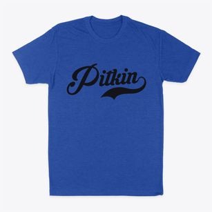 Pitkin Louisiana Vintage Team Classic Dad T-Shirt
