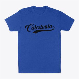 Caledonia Ohio Vintage Team Classic Dad T-Shirt