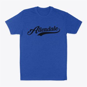 Allendale Illinois Vintage Team Classic Dad T-Shirt