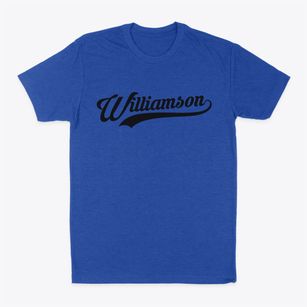 Williamson Illinois Vintage Team Classic Dad T-Shirt