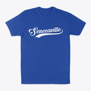 Senecaville Ohio Vintage Team Classic Dad T-Shirt