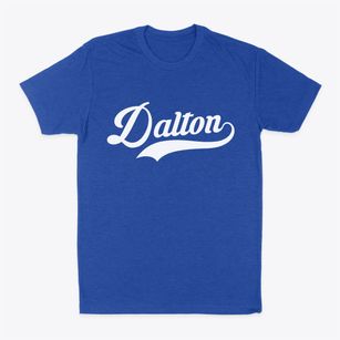 Dalton Nebraska Vintage Team Classic Dad T-Shirt