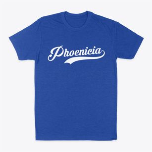 Phoenicia New York Vintage Team Classic Dad T-Shirt