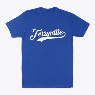 Terryville New York Vintage Team Classic Dad T-Shirt