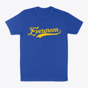 Evergreen Wisconsin Vintage Team Classic Dad T-Shirt