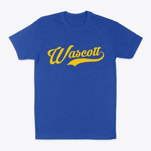 Wascott Wisconsin Vintage Team Classic Dad T-Shirt