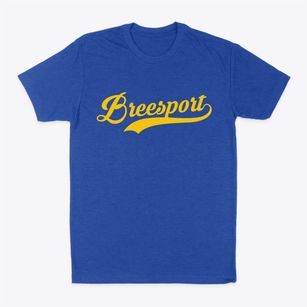 Breesport New York Vintage Team Classic Dad T-Shirt