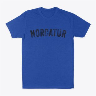 Norcatur Kansas Timeless Retro Classic Dad T-Shirt