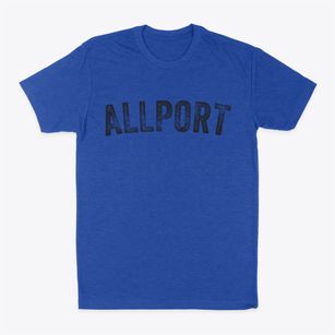 Allport Arkansas Timeless Retro Classic Dad T-Shirt