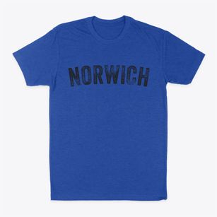 Norwich Ohio Timeless Retro Classic Dad T-Shirt