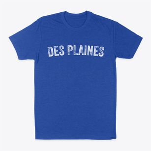Des Plaines Illinois Timeless Retro Classic Dad T-Shirt