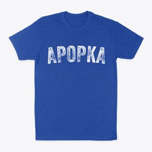 Apopka Florida Timeless Retro Classic Dad T-Shirt