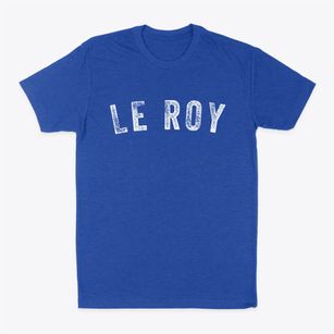 Le Roy Illinois Timeless Retro Classic Dad T-Shirt