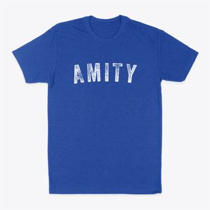 Amity New York Timeless Retro Classic Dad T-Shirt