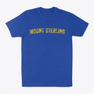 Mount Sterling Illinois Timeless Retro Classic Dad T-Shirt
