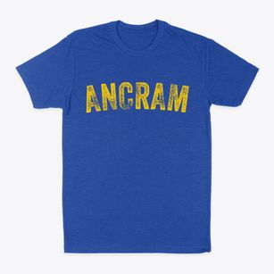 Ancram New York Timeless Retro Classic Dad T-Shirt