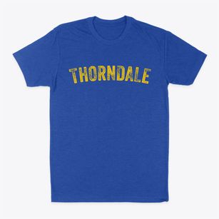 Thorndale Texas Timeless Retro Classic Dad T-Shirt