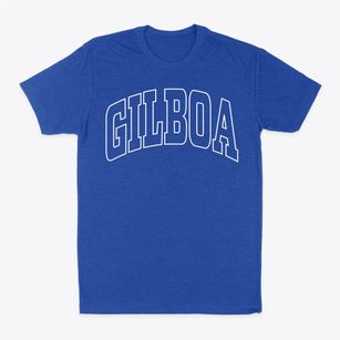 Gilboa Ohio Trendy Block Classic Dad T-Shirt