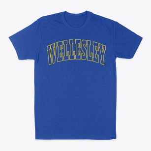 Wellesley Massachusetts Trendy Block Classic Dad T-Shirt