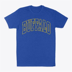 Buffalo Iowa Trendy Block Classic Dad T-Shirt