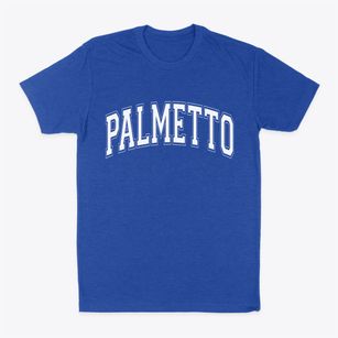 Palmetto Louisiana Varsity Classic Dad T-Shirt