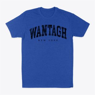 Wantagh New York Urban Vibe Classic Dad T-Shirt