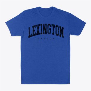Lexington Oregon Urban Vibe Classic Dad T-Shirt