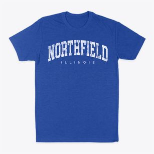 Northfield Illinois Urban Vibe Classic Dad T-Shirt