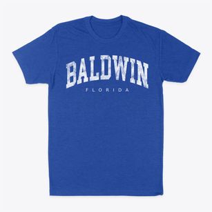 Baldwin Florida Urban Vibe Classic Dad T-Shirt