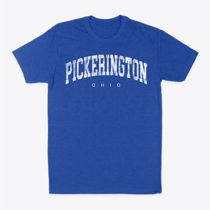 Pickerington Ohio Urban Vibe Classic Dad T-Shirt