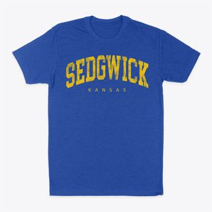 Sedgwick Kansas Urban Vibe Classic Dad T-Shirt