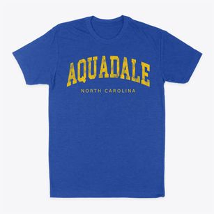 Aquadale North Carolina Urban Vibe Classic Dad T-Shirt