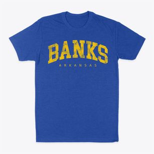 Banks Arkansas Urban Vibe Classic Dad T-Shirt