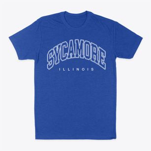 Sycamore Illinois Inline Classic Dad T-Shirt
