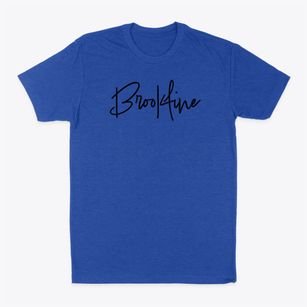 Brookline Massachusetts Freestyle Classic Dad T-Shirt
