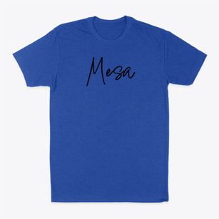 Mesa Arizona Freestyle Classic Dad T-Shirt