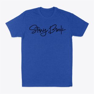 Stony Brook New York Freestyle Classic Dad T-Shirt