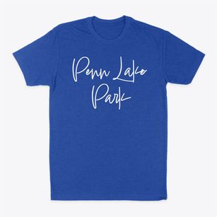 Penn Lake Park Pennsylvania Freestyle Classic Dad T-Shirt