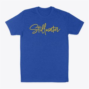 Stillwater New York Freestyle Classic Dad T-Shirt
