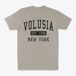 Volusia New York Classic Established Classic Dad T-Shirt