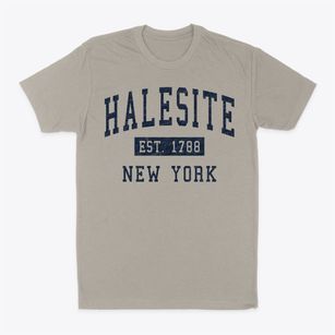 Halesite New York Classic Established Classic Dad T-Shirt