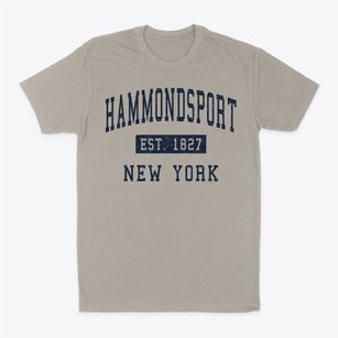 Hammondsport New York Classic Established Classic Dad T-Shirt