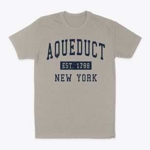 Aqueduct New York Classic Established Classic Dad T-Shirt