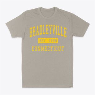 Bradleyville Connecticut Classic Established Classic Dad T-Shirt
