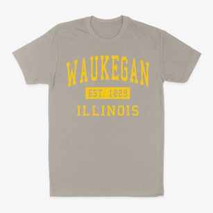 Waukegan Illinois Classic Established Classic Dad T-Shirt