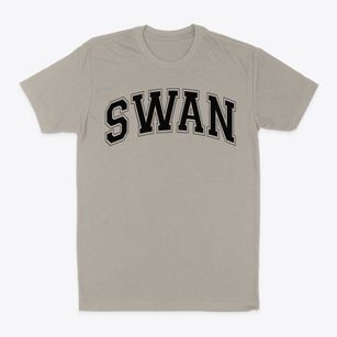 Swan School Varsity Arch Classic Dad T-Shirt