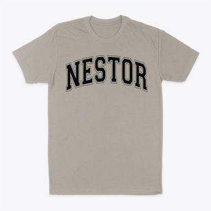 Nestor Elementary School Varsity Arch Classic Dad T-Shirt