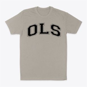 Our Lady Of Sorrows School Varsity Arch Classic Dad T-Shirt