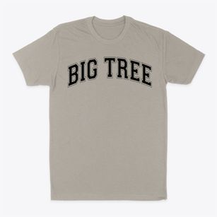 Big Tree Elementary School Varsity Arch Classic Dad T-Shirt