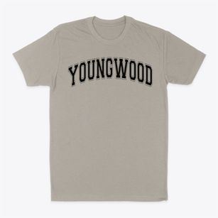 Youngwood Baptist School Varsity Arch Classic Dad T-Shirt